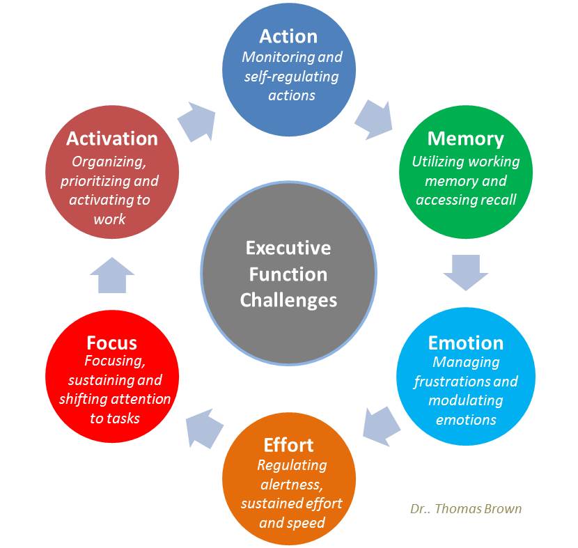 Executive functions in traumatic brain injury